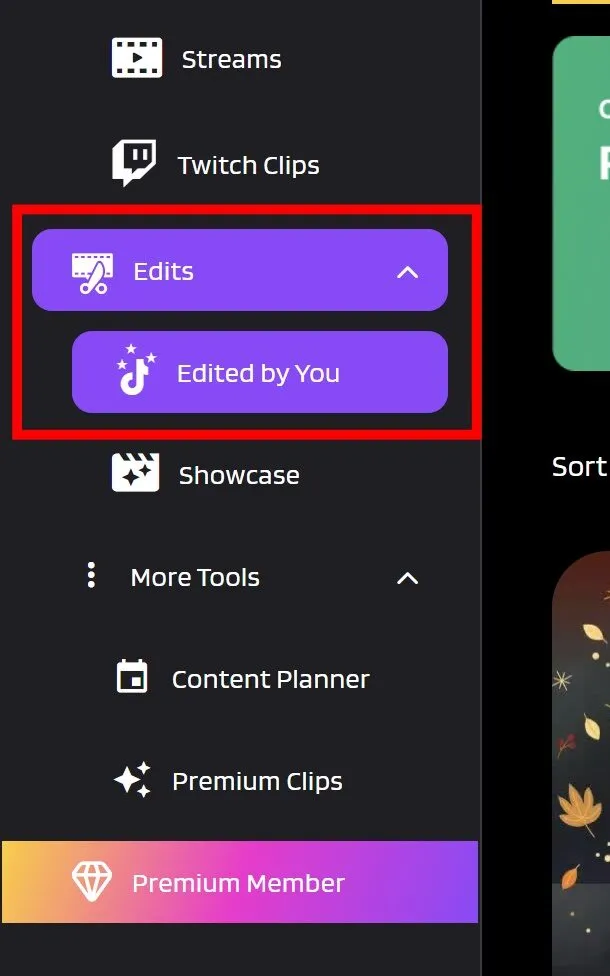 How To Edit TikTok Videos On PC Using Eklipse