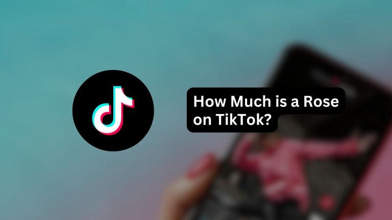 How Much is a Rose Worth on TikTok Live? Real Price of The Most Common TikTok Gift