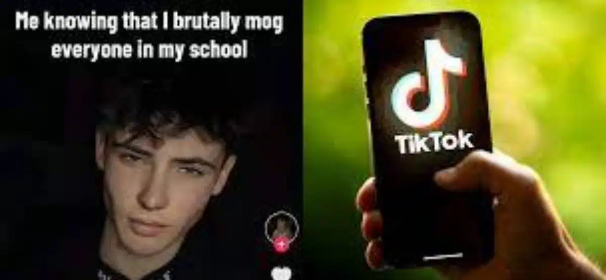 What Does Mog Mean on TikTok?